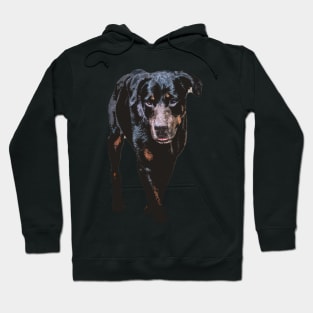 rottweiler Hoodie